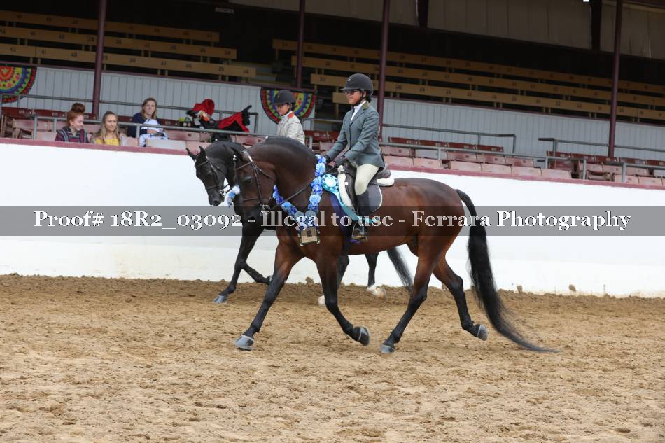 Proof 18R2_03092