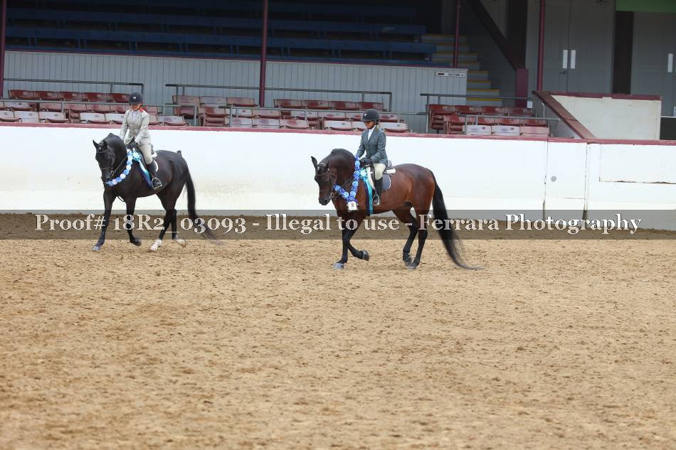 Proof 18R2_03093