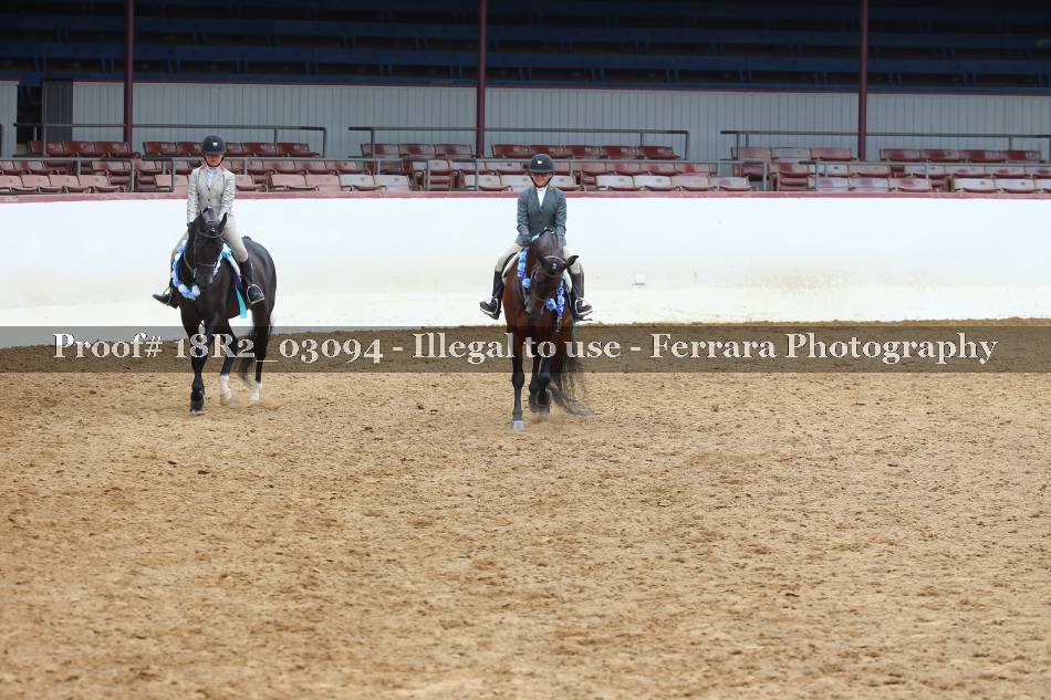Proof 18R2_03094