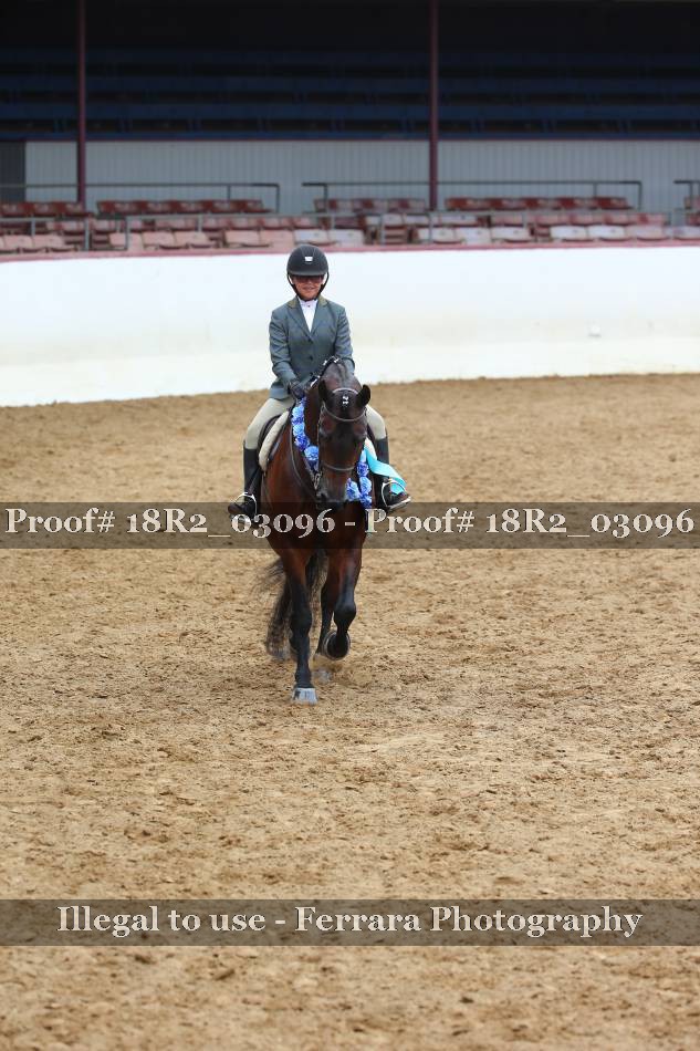 Proof 18R2_03096