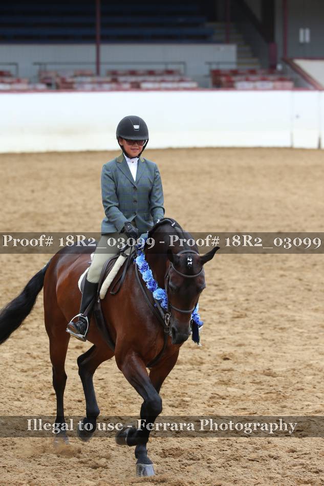Proof 18R2_03099