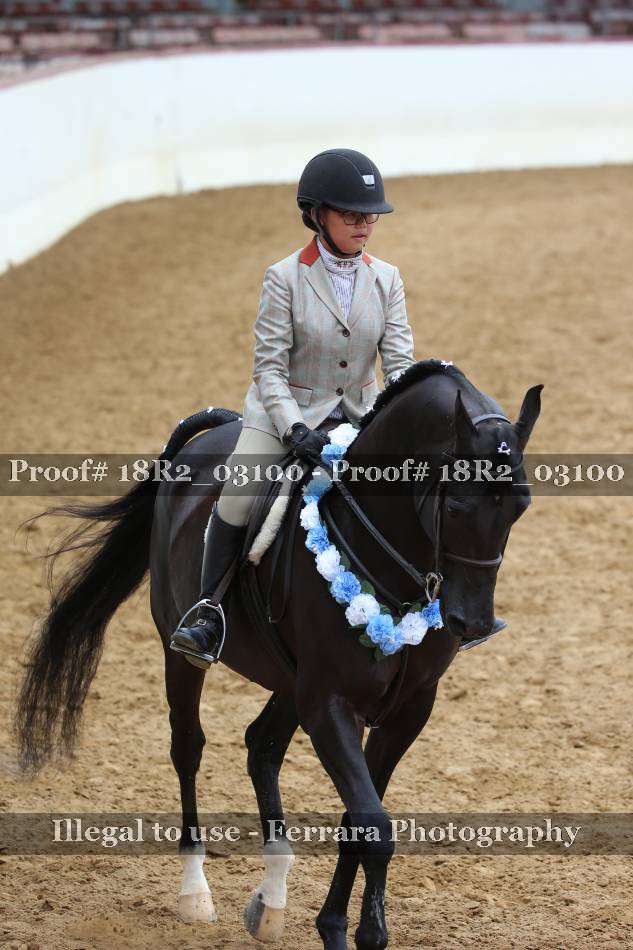 Proof 18R2_03100