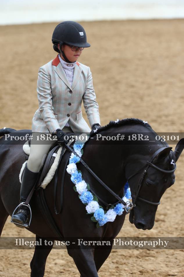 Proof 18R2_03101