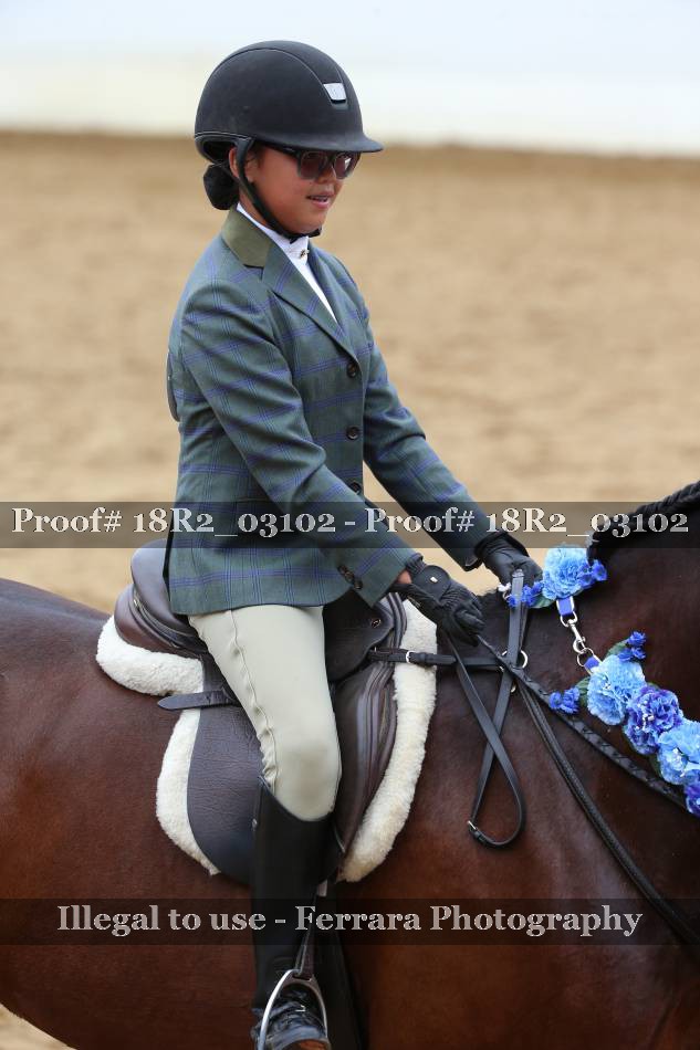 Proof 18R2_03102