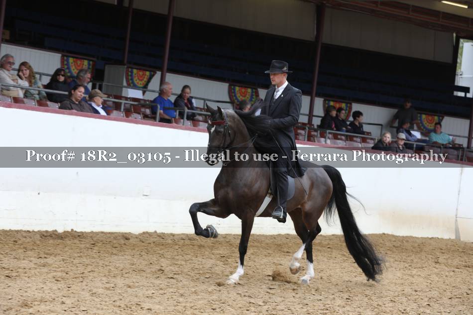 Proof 18R2_03105