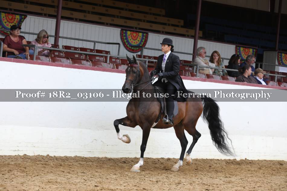 Proof 18R2_03106