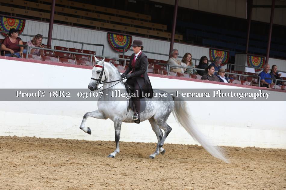 Proof 18R2_03107