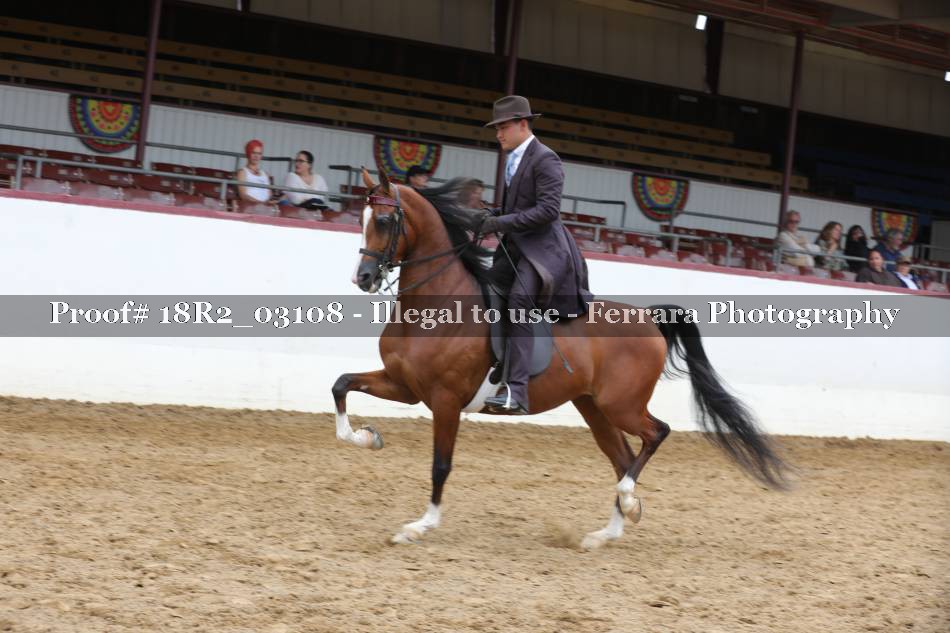 Proof 18R2_03108