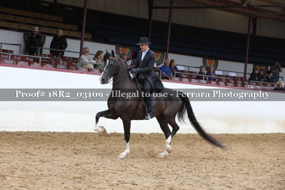 Proof 18R2_03109
