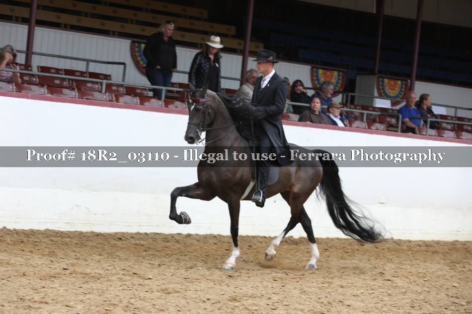 Proof 18R2_03110