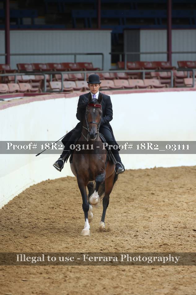 Proof 18R2_03111
