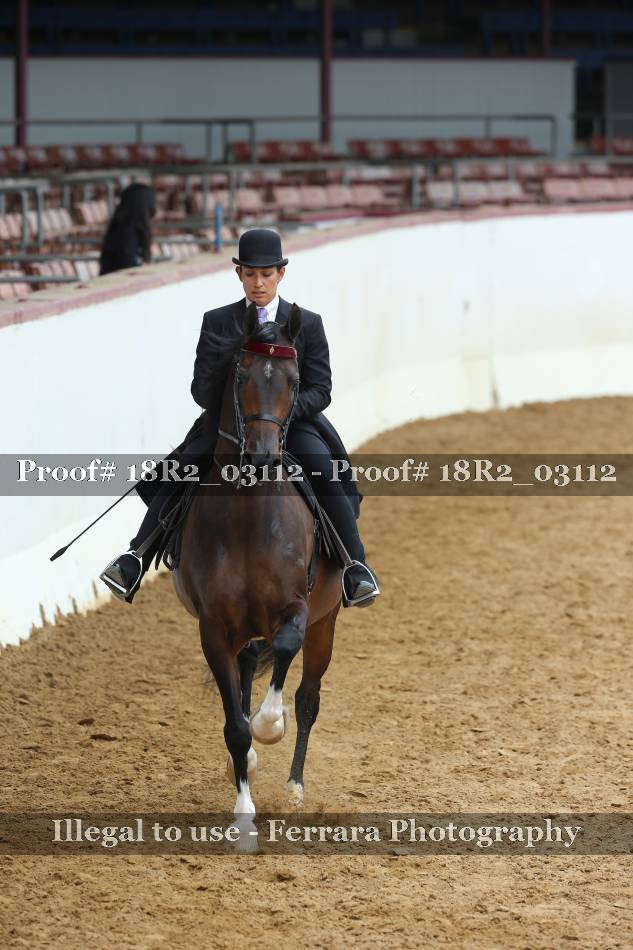 Proof 18R2_03112