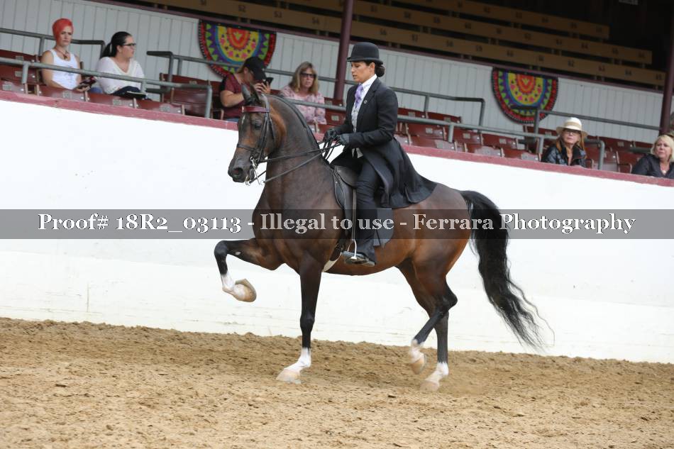 Proof 18R2_03113