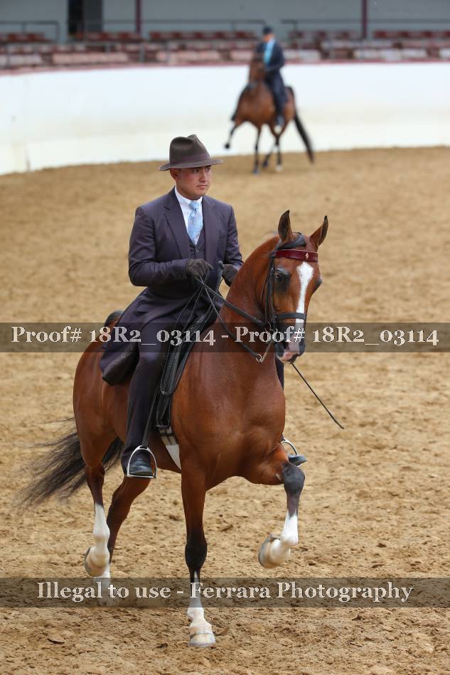 Proof 18R2_03114