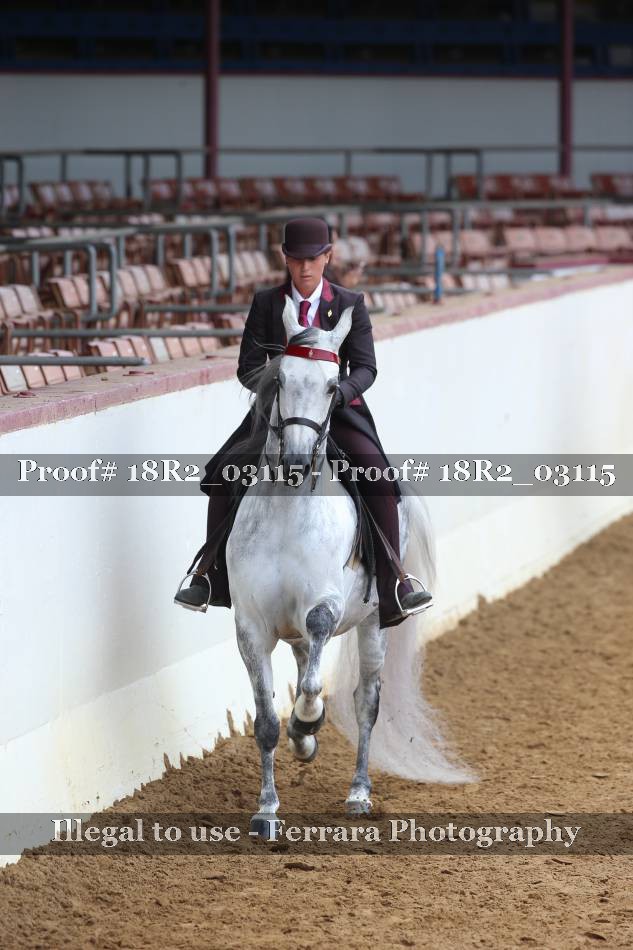 Proof 18R2_03115