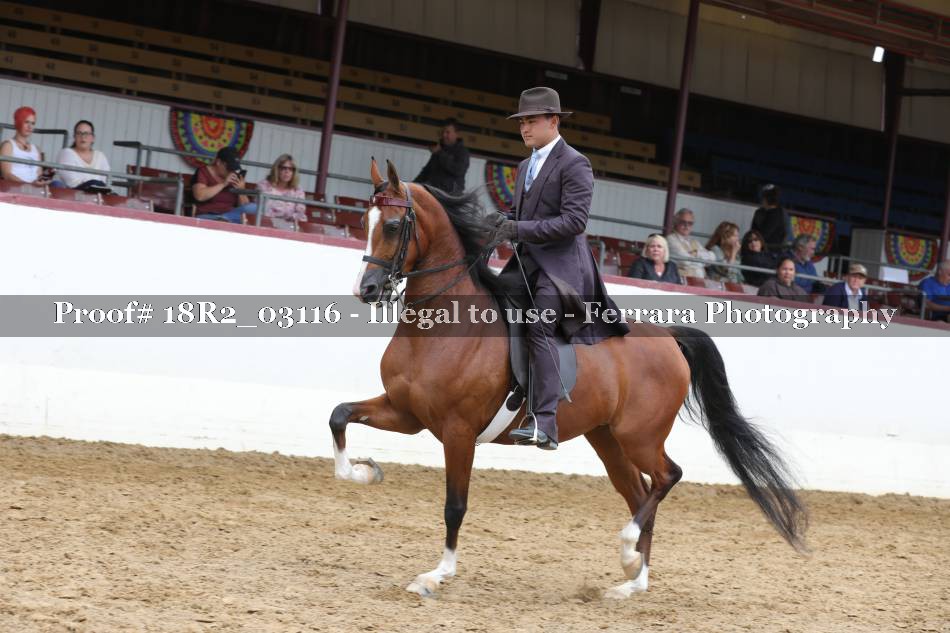 Proof 18R2_03116
