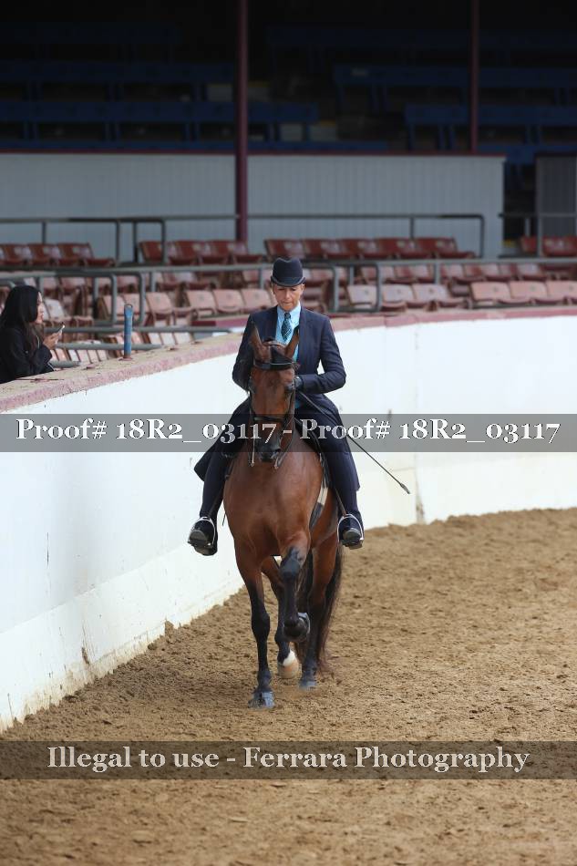 Proof 18R2_03117