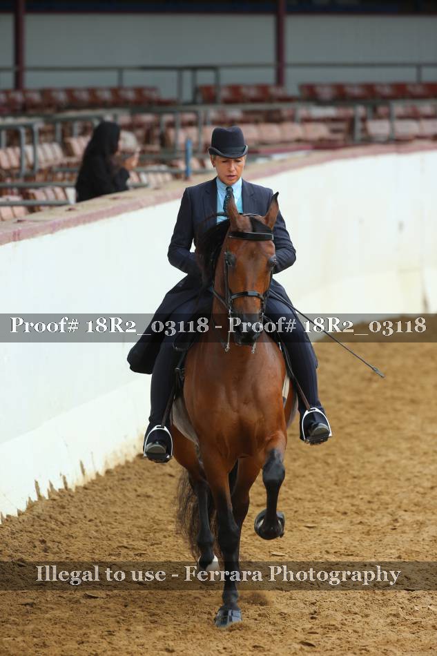 Proof 18R2_03118