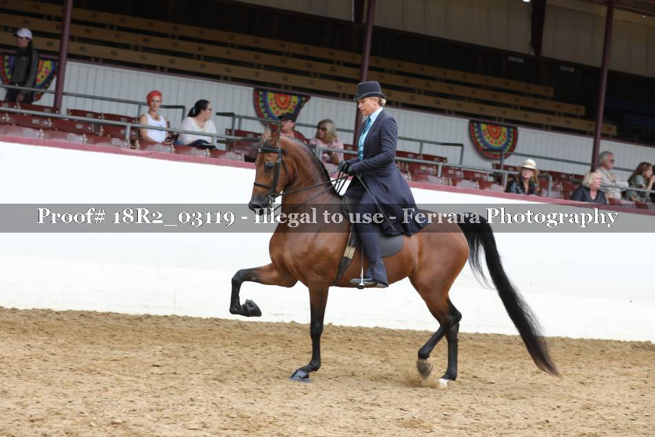 Proof 18R2_03119
