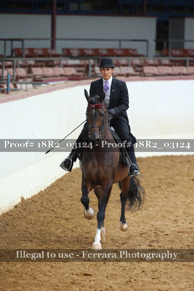 Proof 18R2_03124
