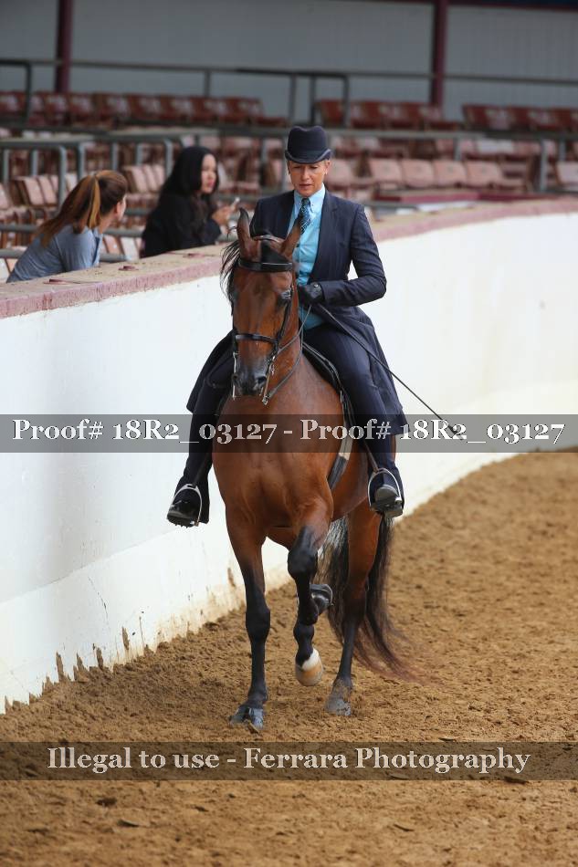 Proof 18R2_03127