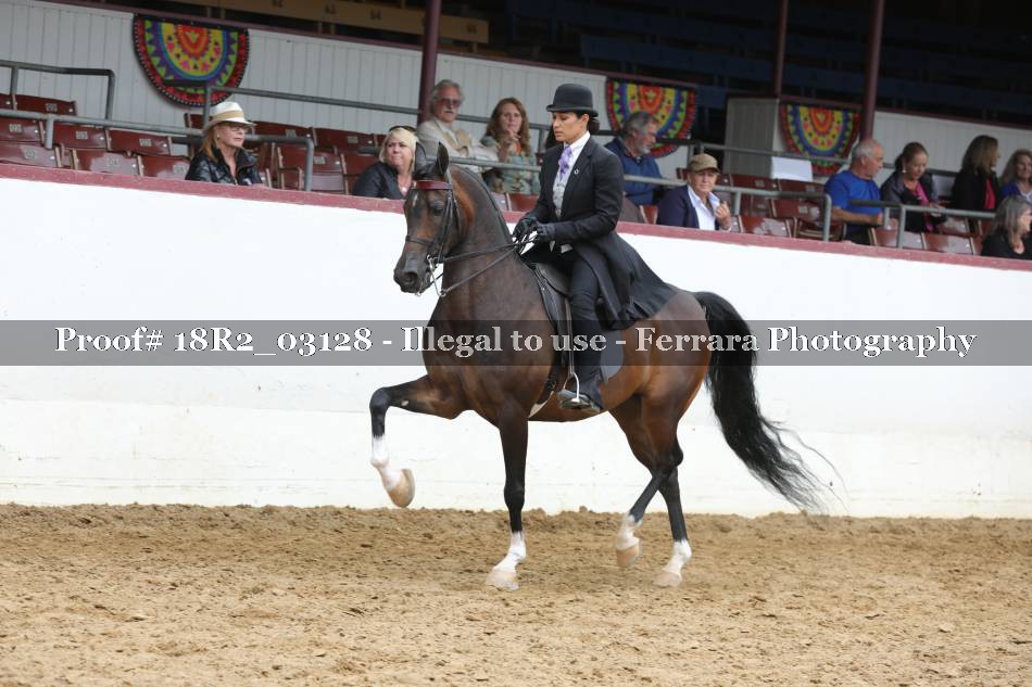 Proof 18R2_03128