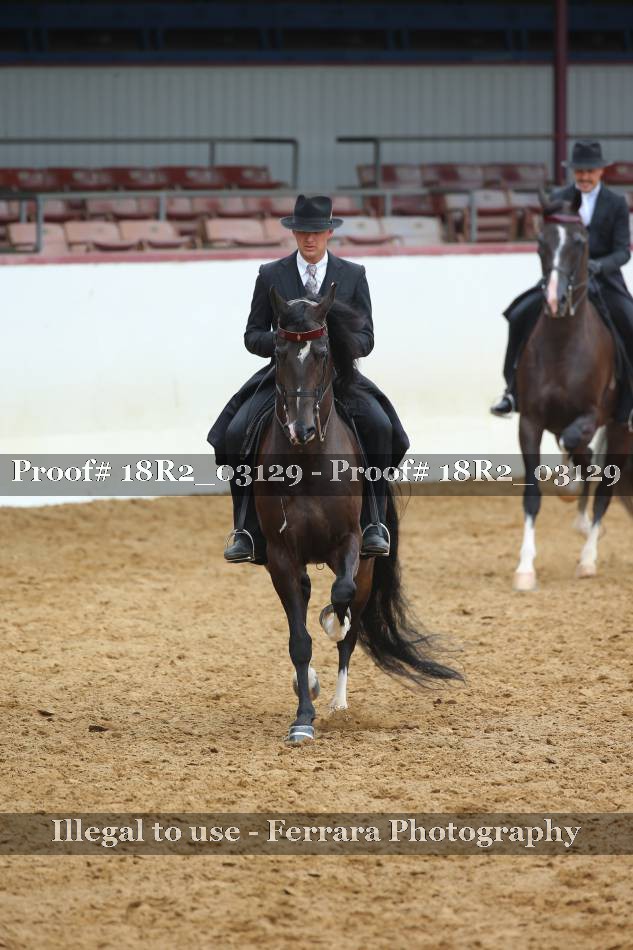 Proof 18R2_03129