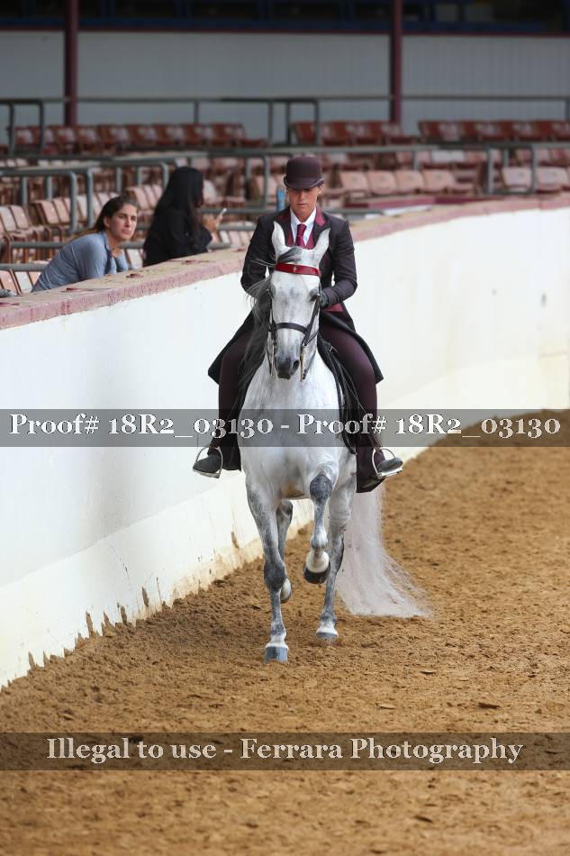 Proof 18R2_03130