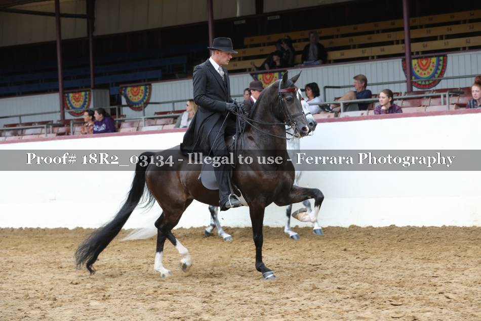 Proof 18R2_03134