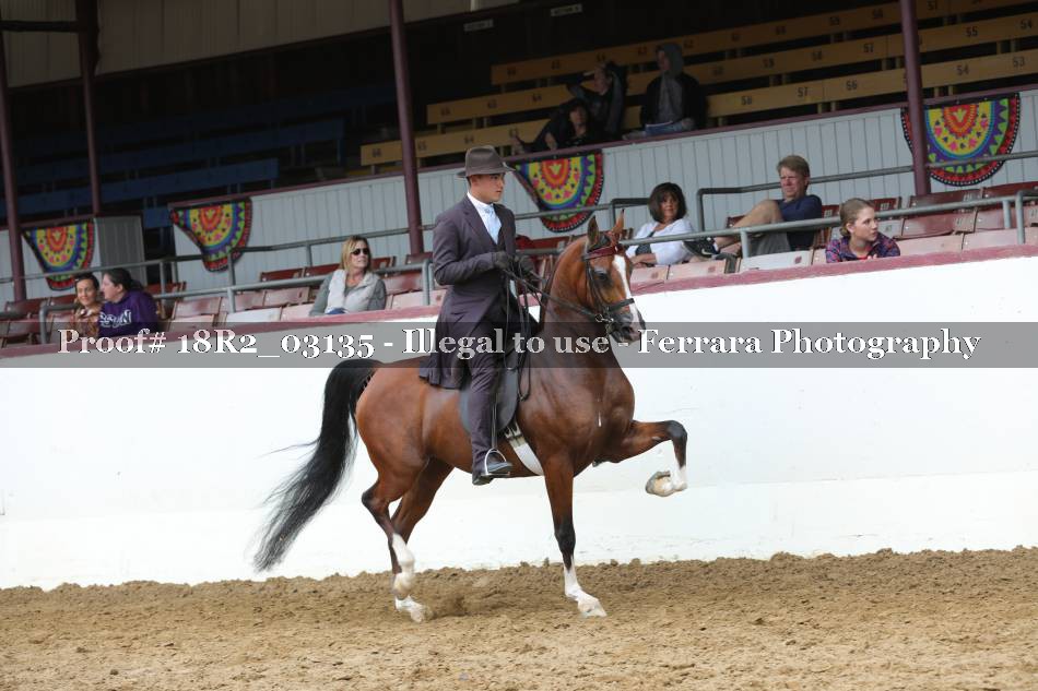 Proof 18R2_03135
