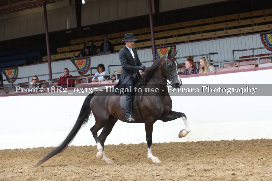 Proof 18R2_03137
