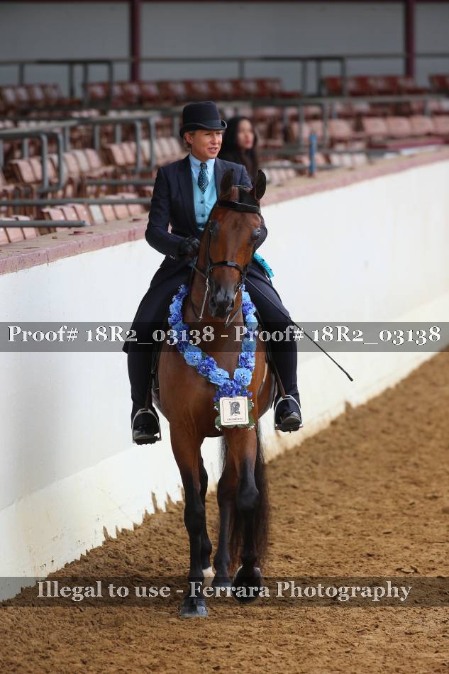 Proof 18R2_03138