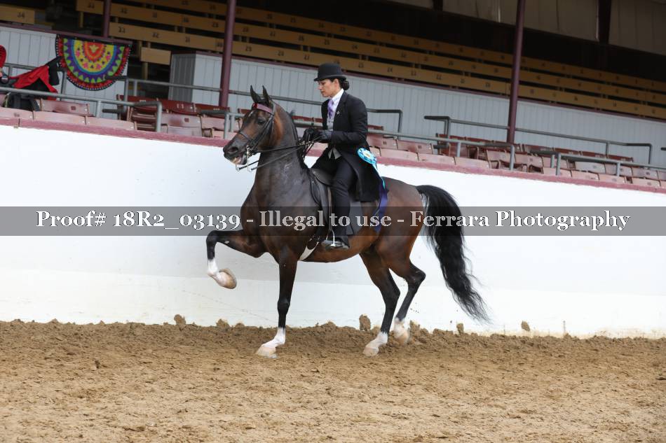 Proof 18R2_03139