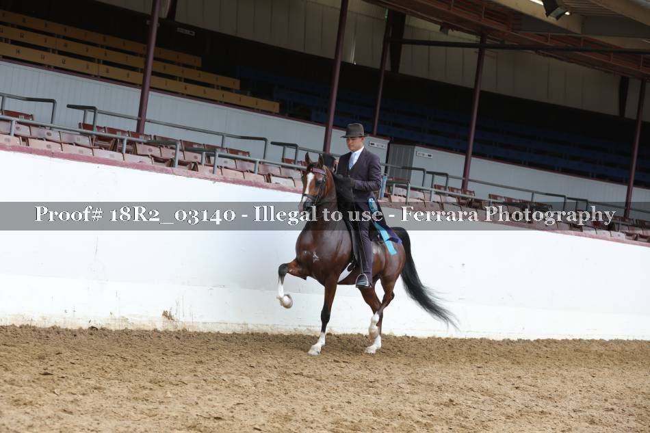 Proof 18R2_03140