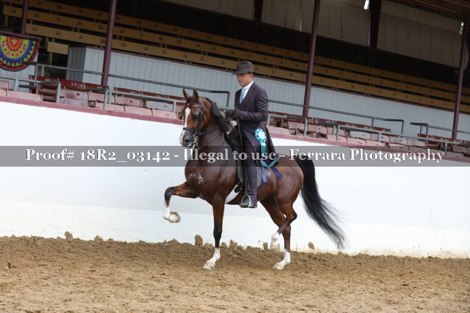 Proof 18R2_03142