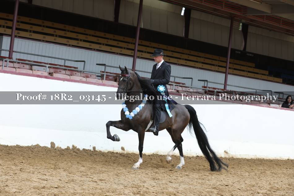 Proof 18R2_03145