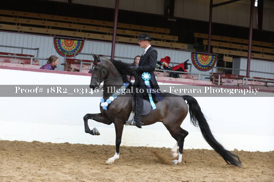 Proof 18R2_03146