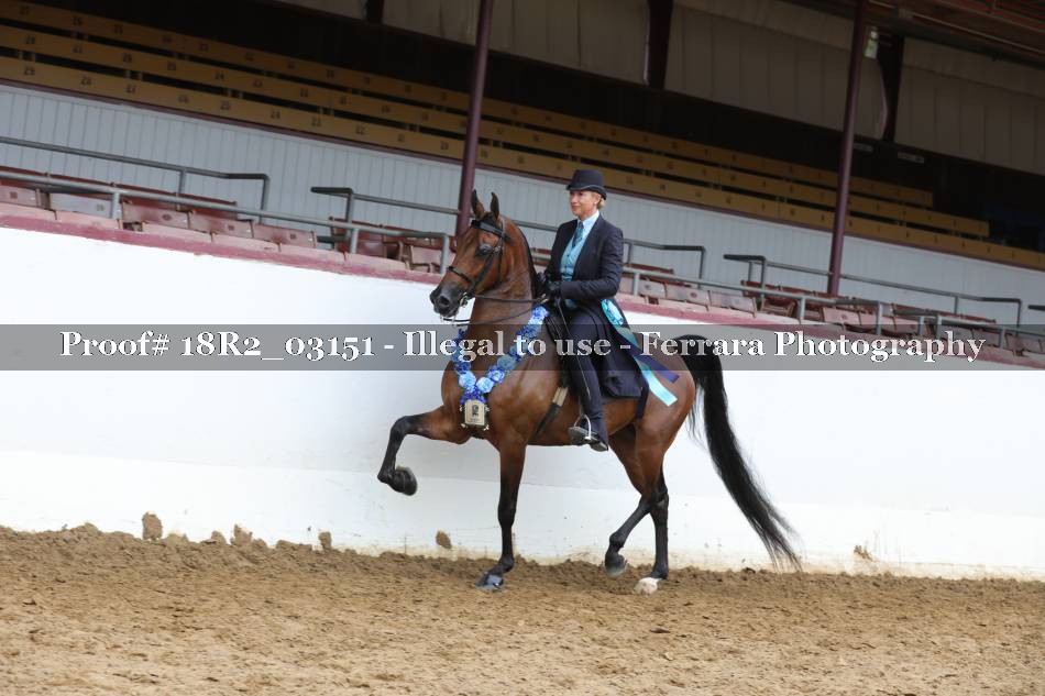 Proof 18R2_03151