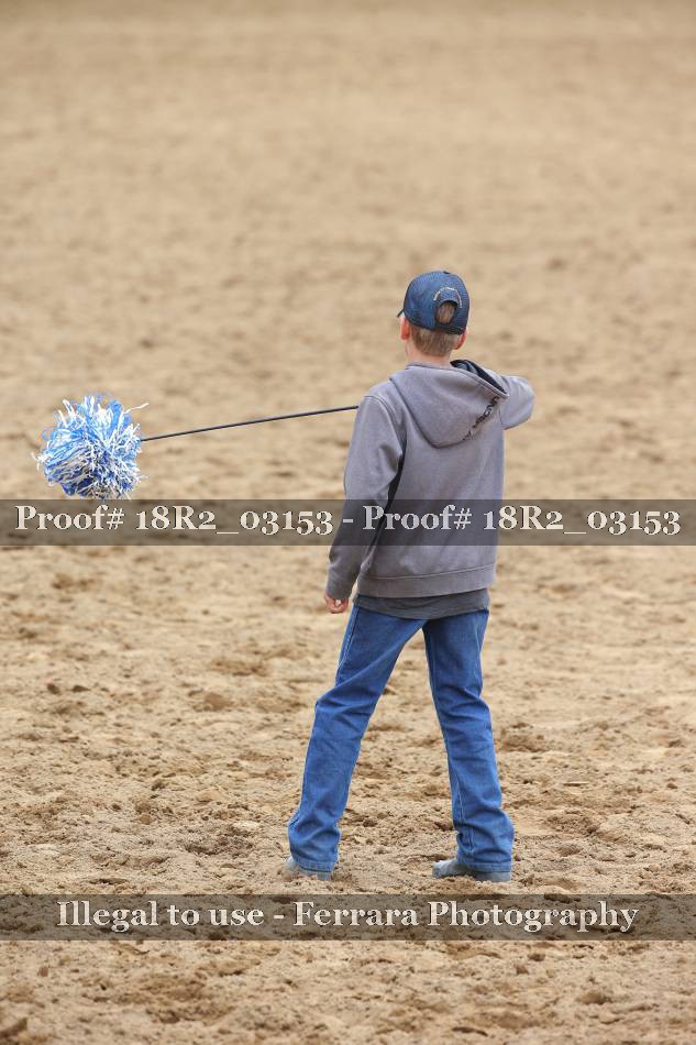 Proof 18R2_03153