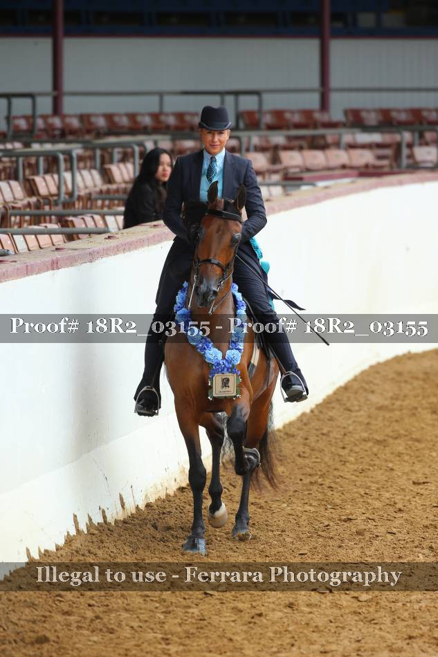 Proof 18R2_03155