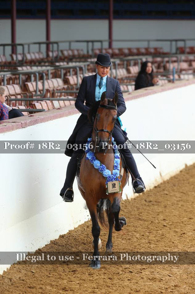 Proof 18R2_03156