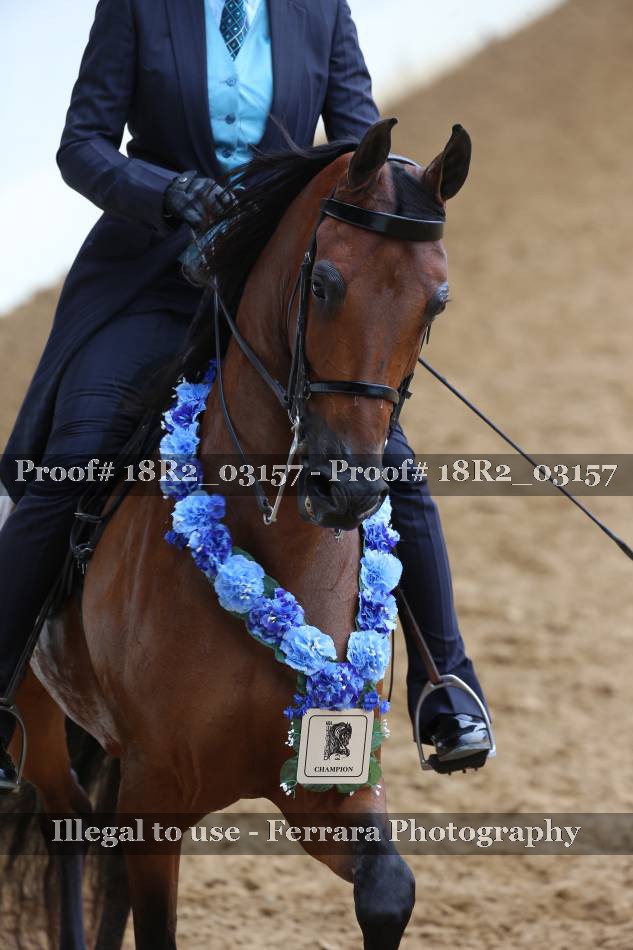Proof 18R2_03157