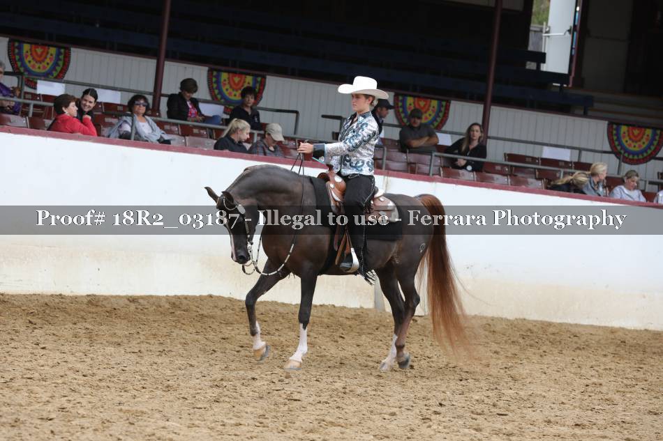 Proof 18R2_03187