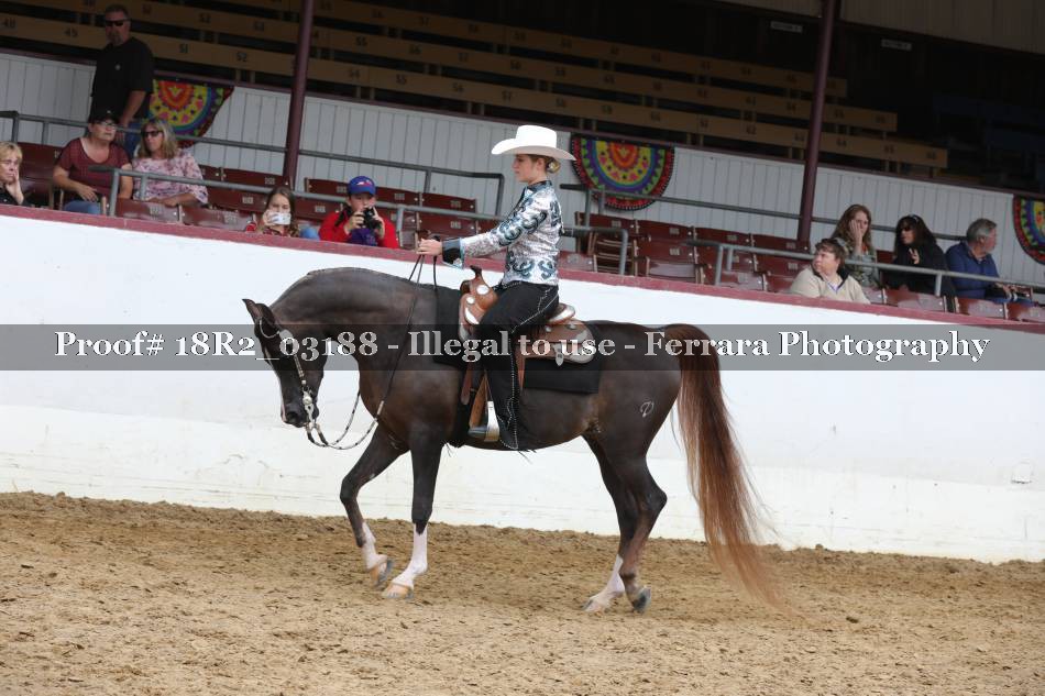 Proof 18R2_03188