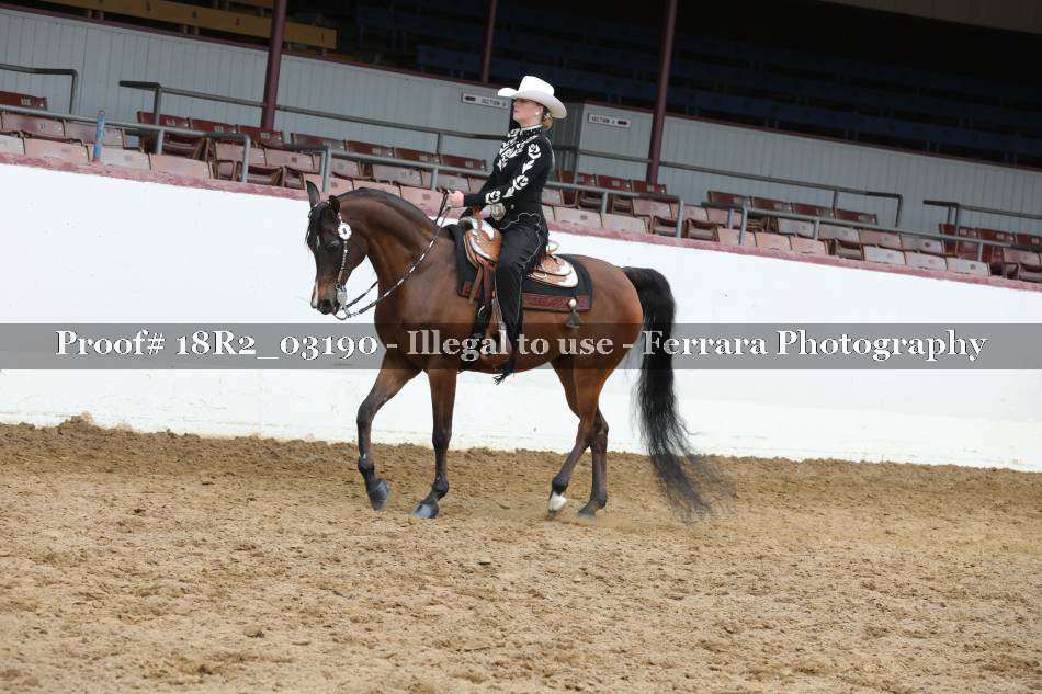 Proof 18R2_03190