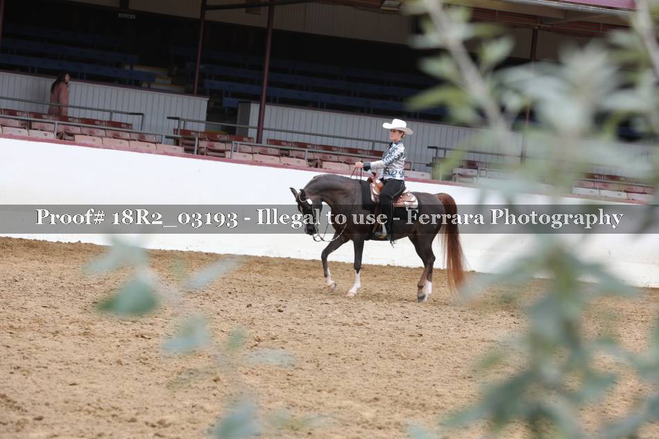 Proof 18R2_03193