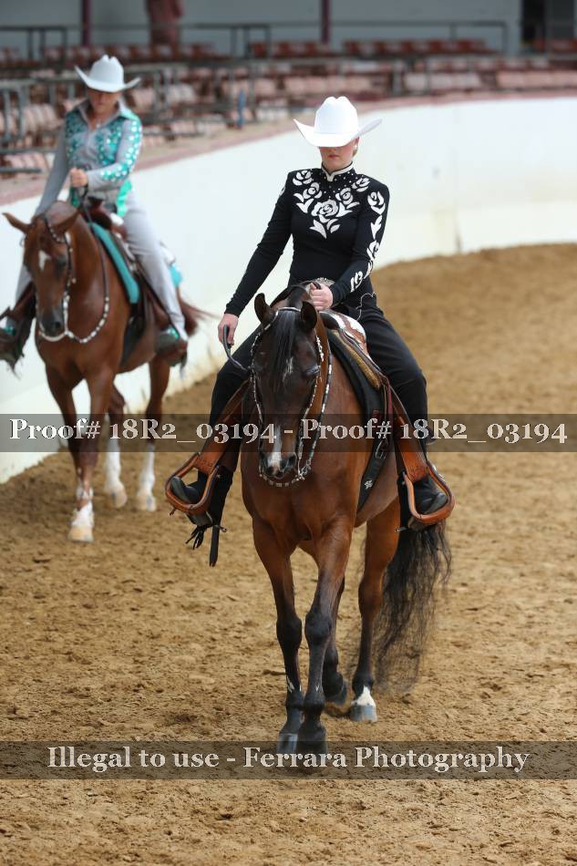 Proof 18R2_03194