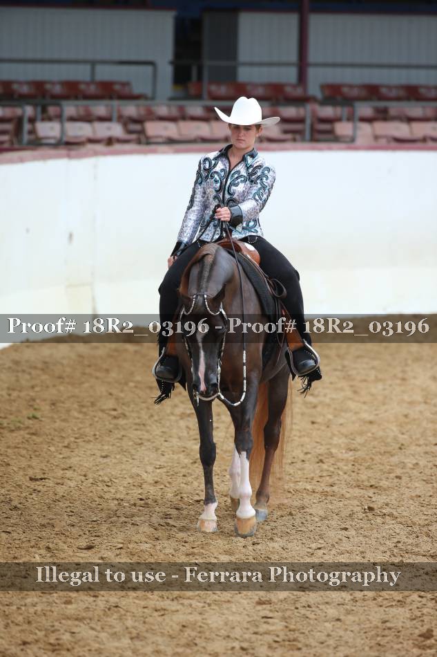 Proof 18R2_03196