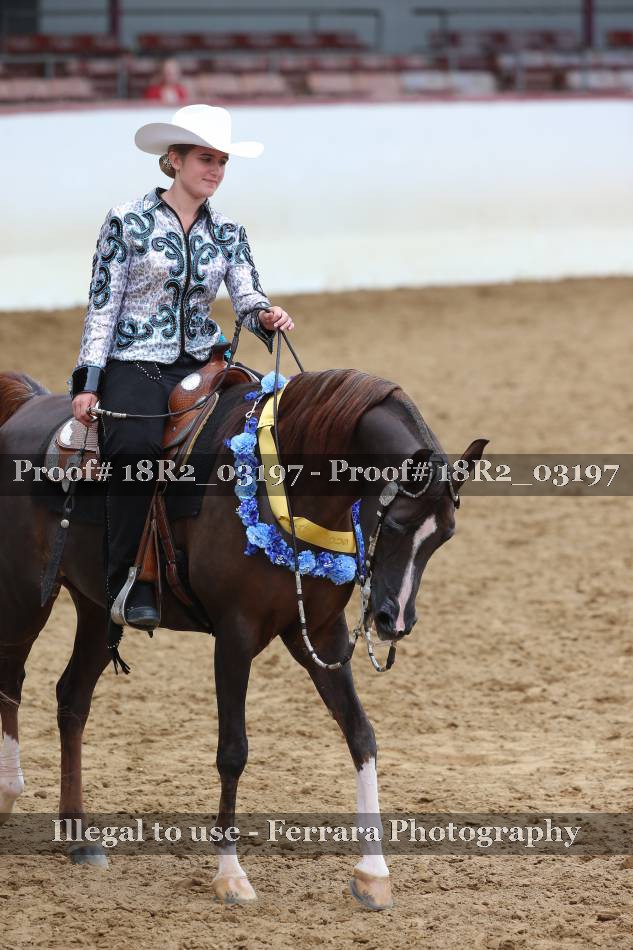 Proof 18R2_03197