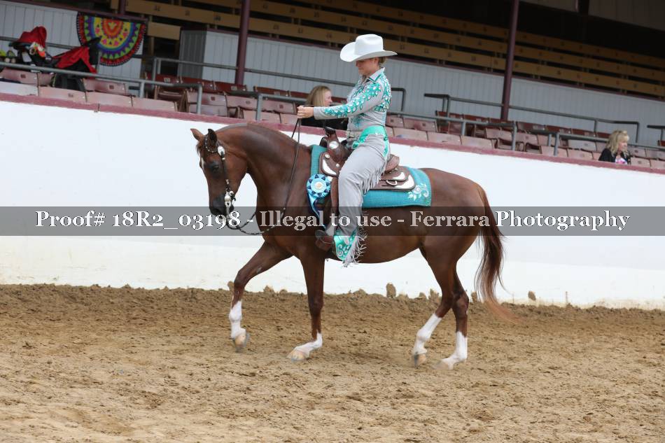 Proof 18R2_03198